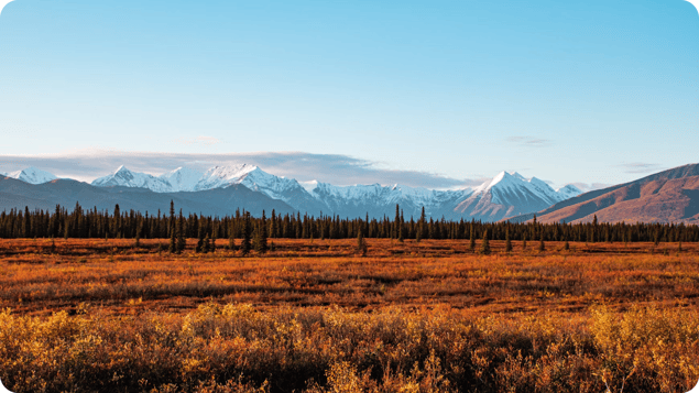 Sick Leave for Alaska Employees: What You Need to Know in 2025