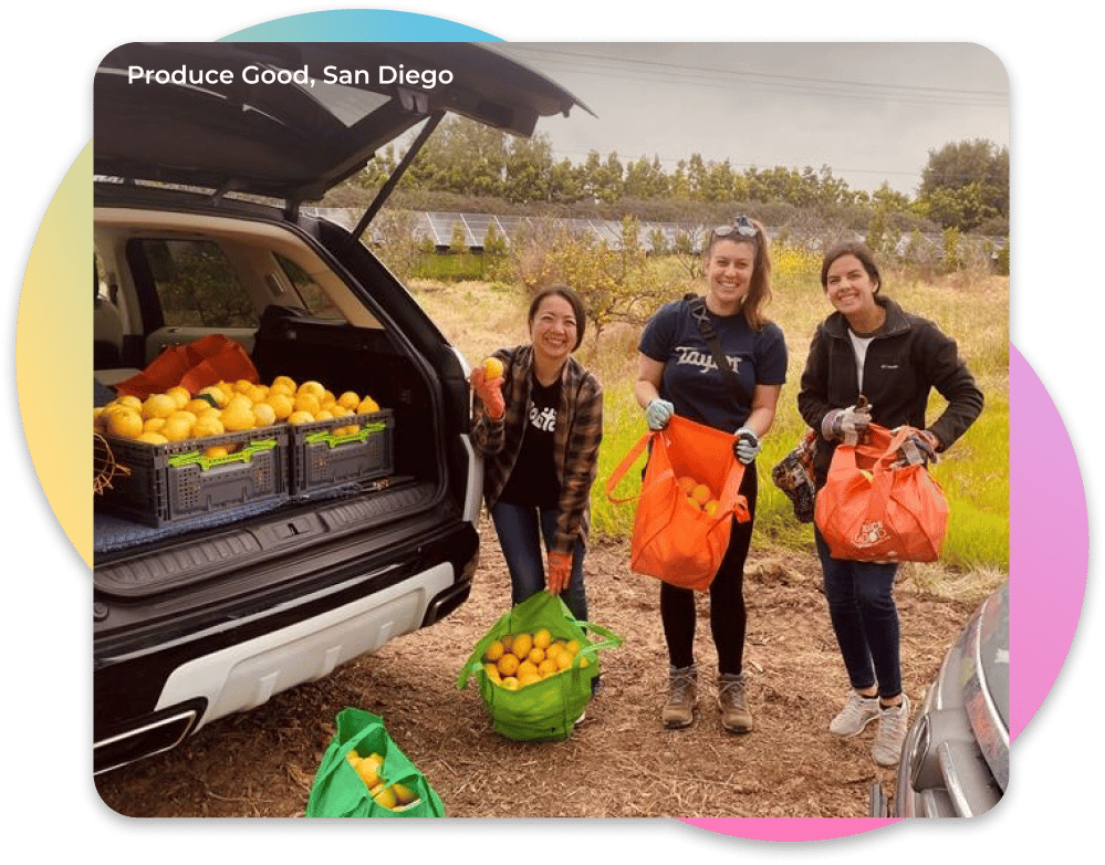 Three TCWGlobal workers collect fruit for Produce Good Charity