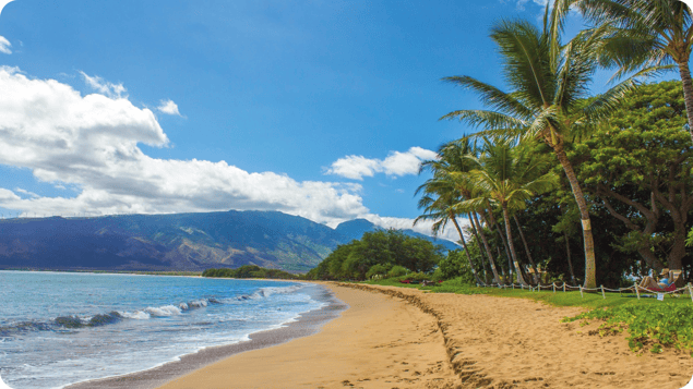 Sick Leave for Hawaii Employees: What You Need to Know in 2025