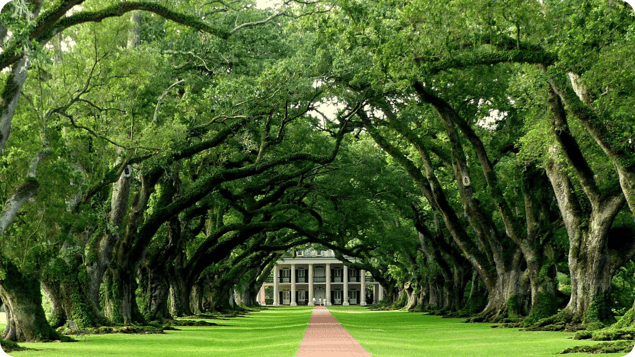 Sick Leave for Louisiana Employees: What You Need to Know in 2025