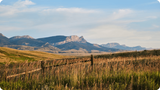 Sick Leave for Montana Employees: What You Need to Know in 2025